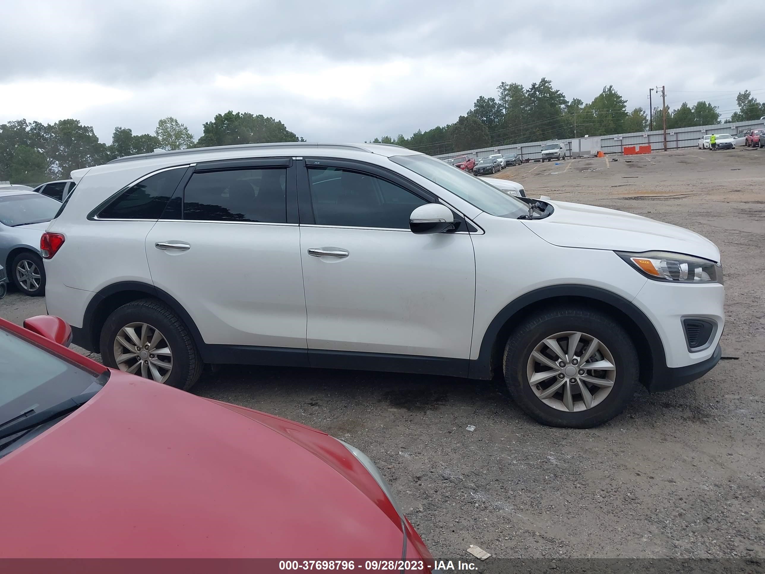 Photo 12 VIN: 5XYPG4A31HG237094 - KIA SORENTO 