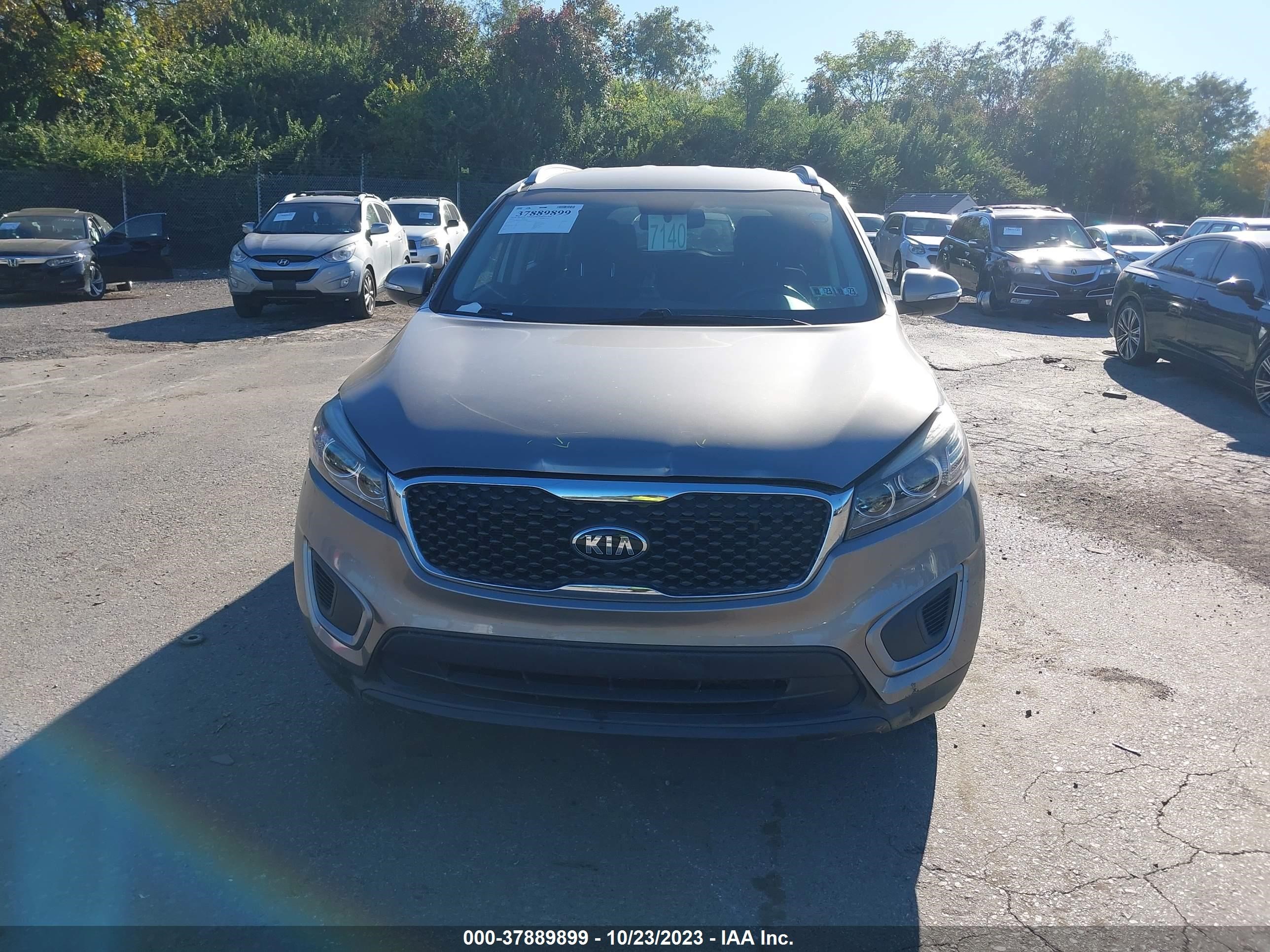 Photo 11 VIN: 5XYPG4A32GG093960 - KIA SORENTO 