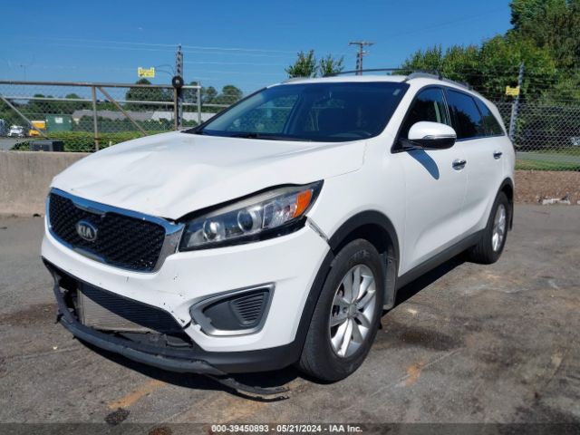 Photo 1 VIN: 5XYPG4A36GG052537 - KIA SORENTO 