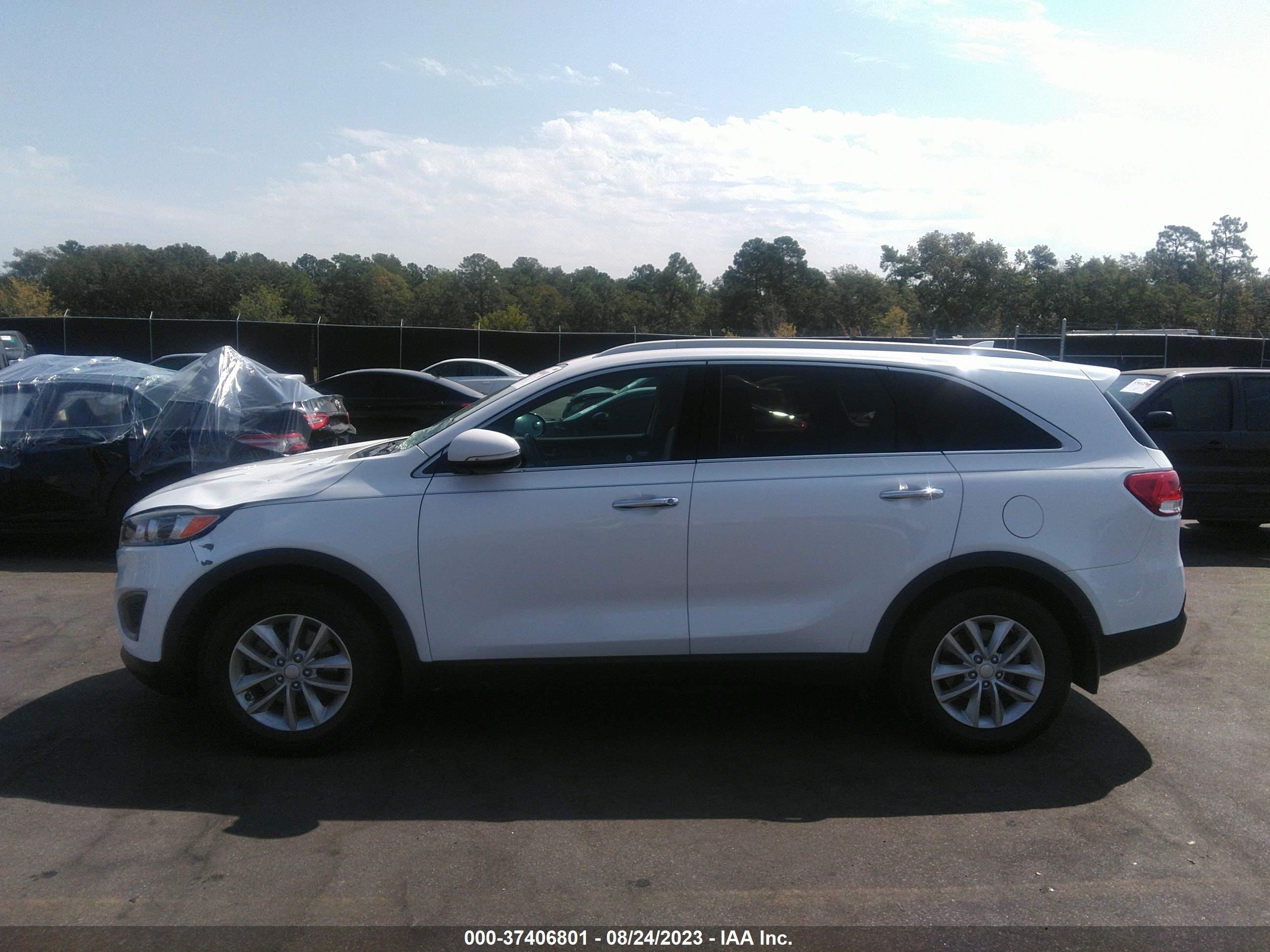 Photo 13 VIN: 5XYPG4A36GG113448 - KIA SORENTO 