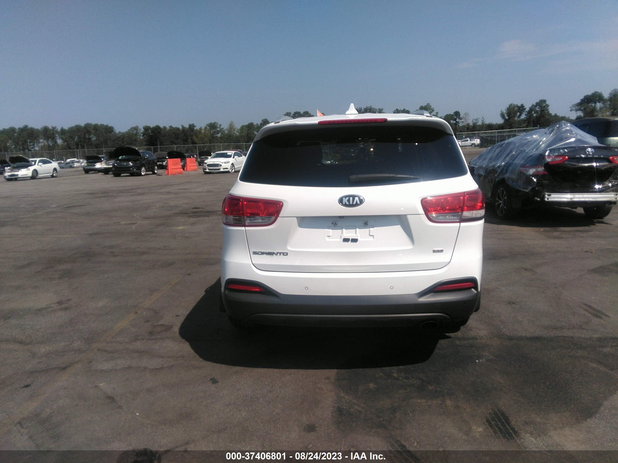 Photo 15 VIN: 5XYPG4A36GG113448 - KIA SORENTO 