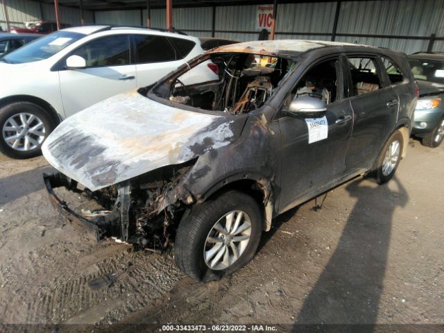 Photo 1 VIN: 5XYPG4A36HG263934 - KIA SORENTO 