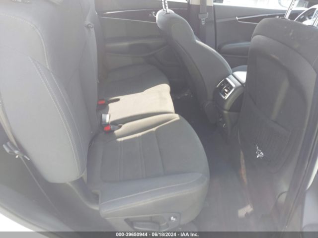 Photo 7 VIN: 5XYPG4A3XLG688355 - KIA SORENTO 