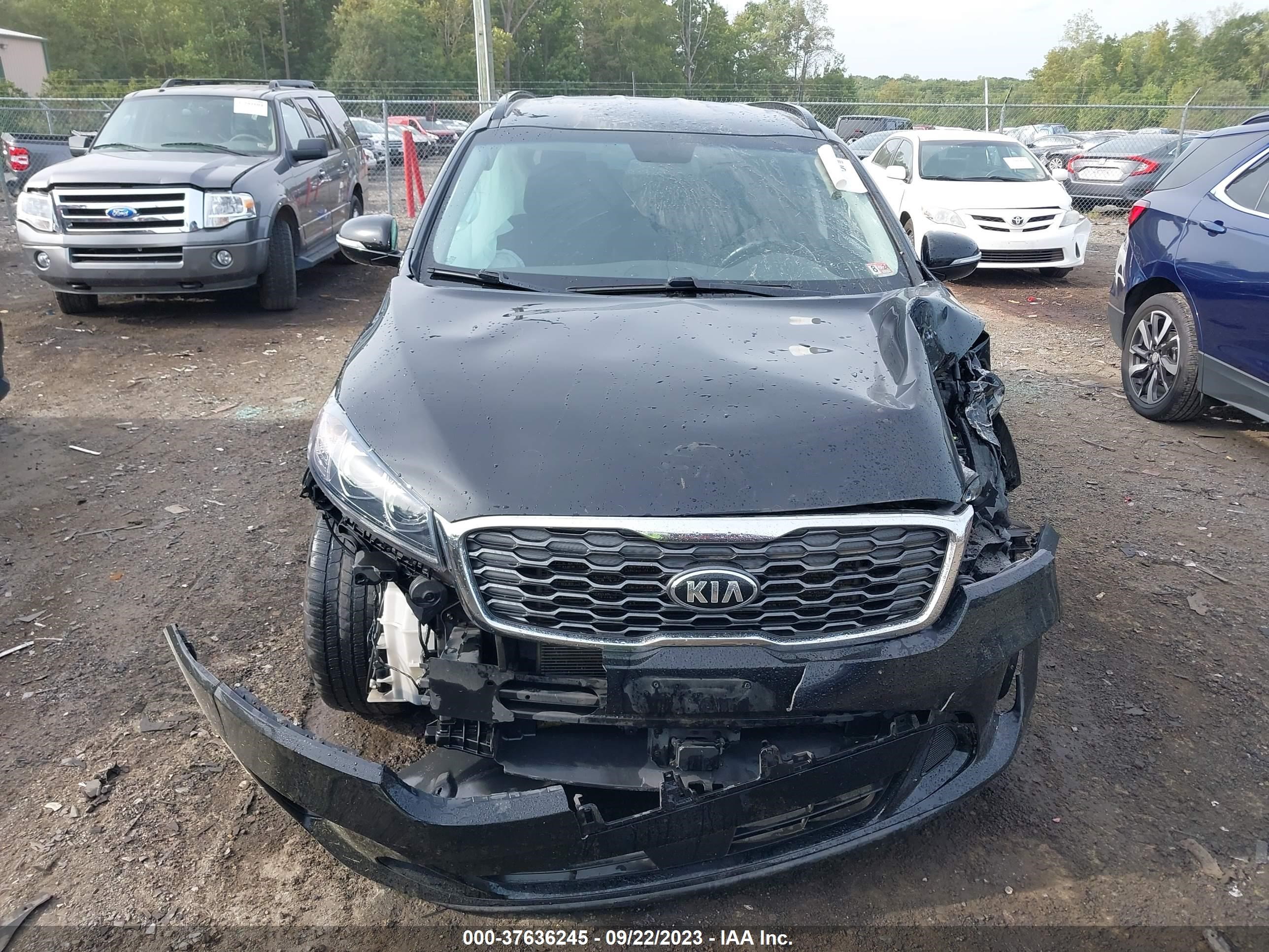 Photo 12 VIN: 5XYPG4A52LG703156 - KIA SORENTO 