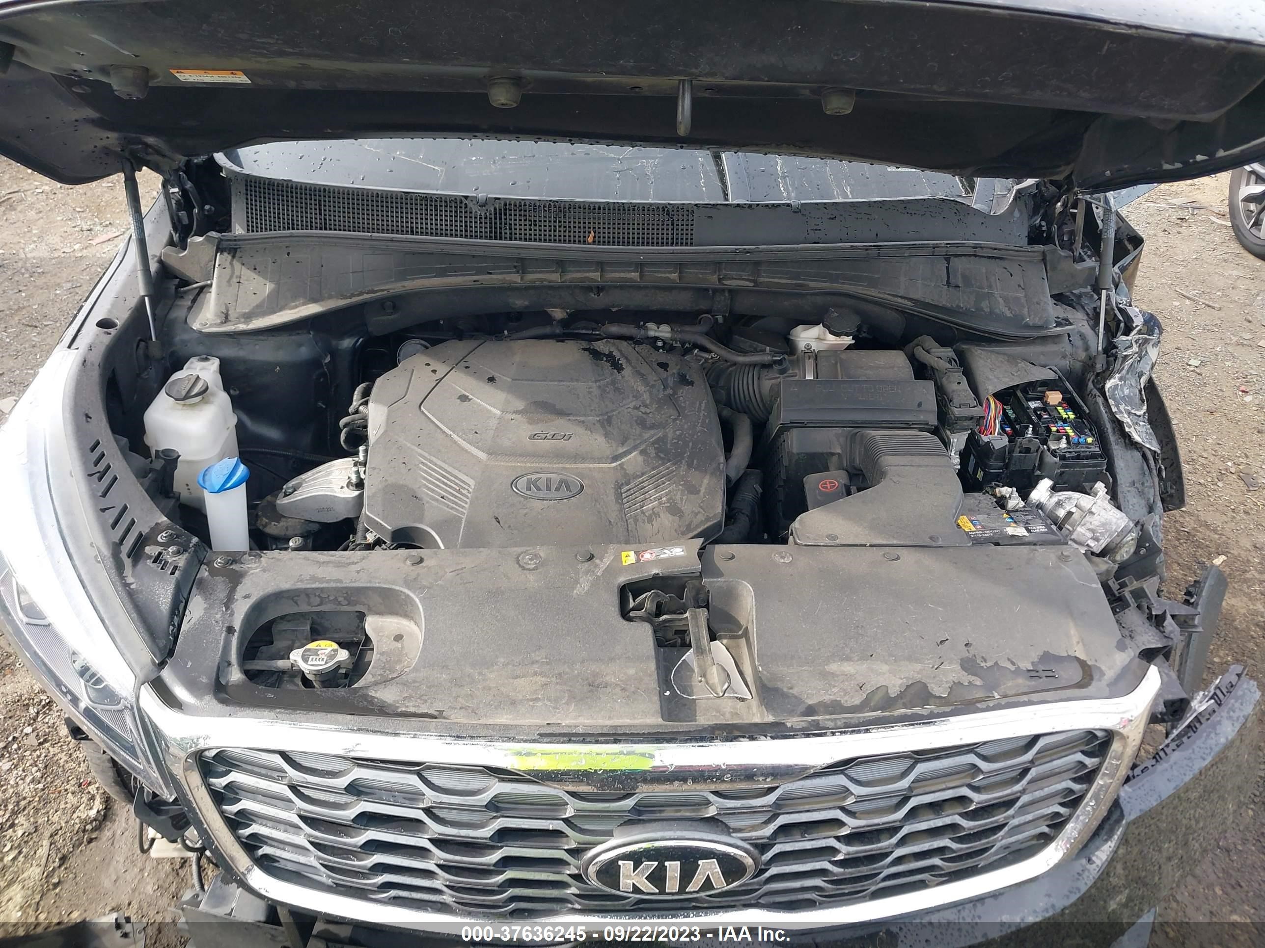 Photo 9 VIN: 5XYPG4A52LG703156 - KIA SORENTO 