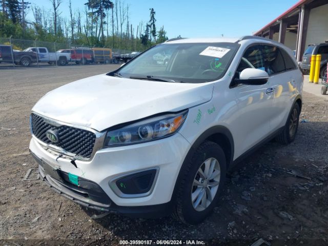 Photo 5 VIN: 5XYPG4A55HG213723 - KIA SORENTO 