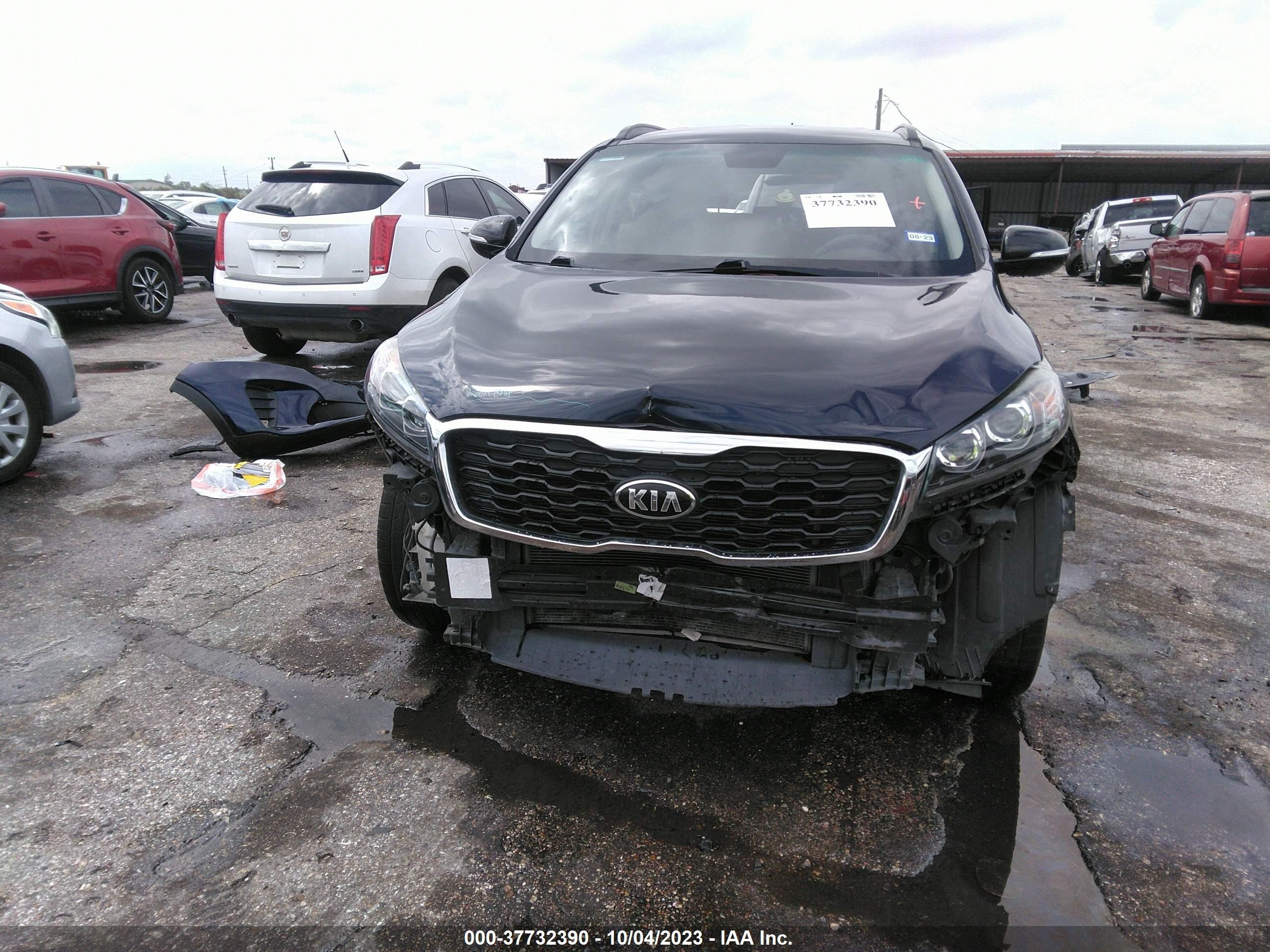 Photo 12 VIN: 5XYPG4A55KG603910 - KIA SORENTO 