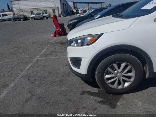 Photo 5 VIN: 5XYPG4A58GG104607 - KIA SORENTO 