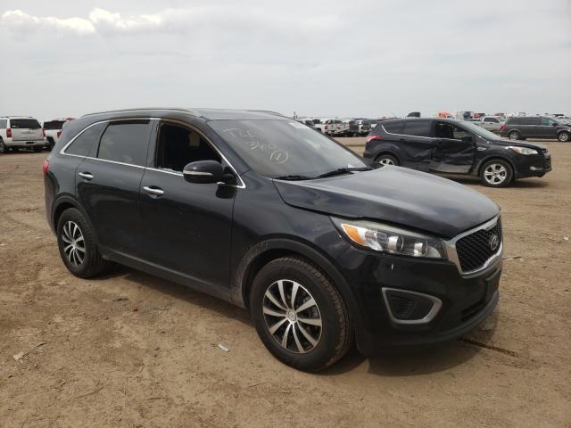 Photo 8 VIN: 5XYPG4A5XGG036603 - KIA SORENTO LX 