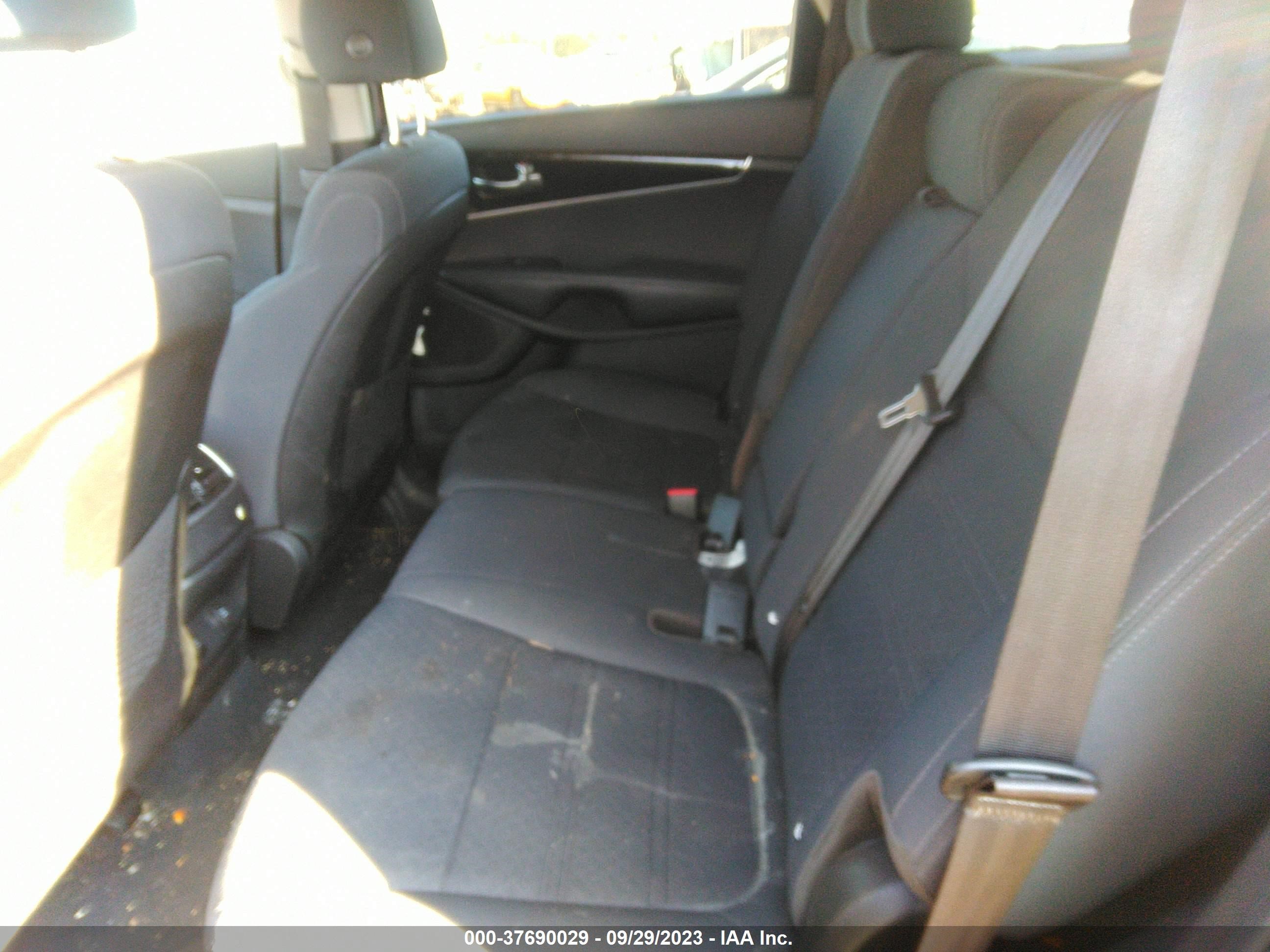 Photo 7 VIN: 5XYPG4A5XLG630635 - KIA SORENTO 