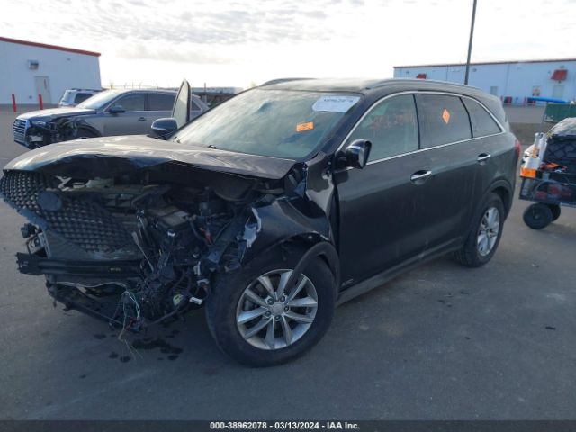 Photo 1 VIN: 5XYPGDA30HG318281 - KIA SORENTO 