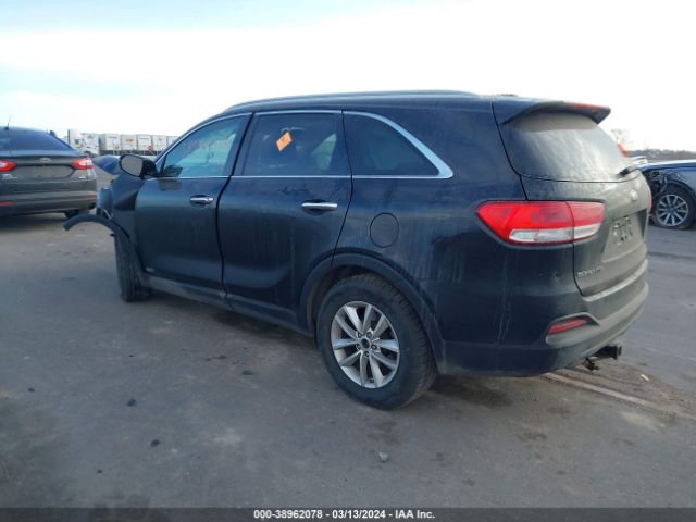 Photo 2 VIN: 5XYPGDA30HG318281 - KIA SORENTO 