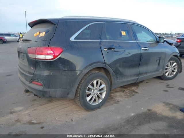 Photo 3 VIN: 5XYPGDA30HG318281 - KIA SORENTO 