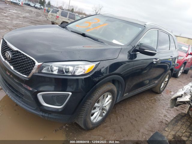 Photo 1 VIN: 5XYPGDA31JG423496 - KIA SORENTO 