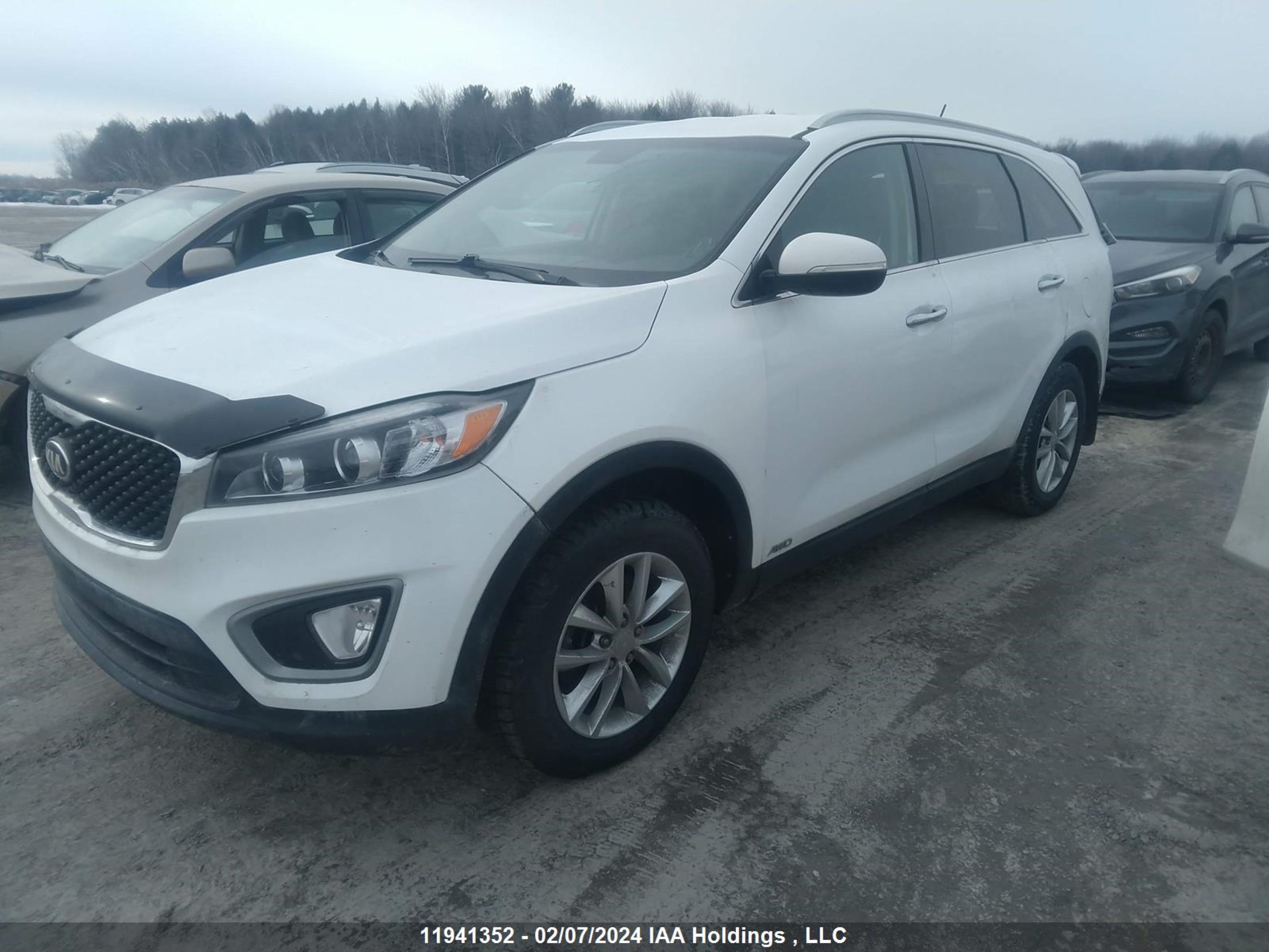 Photo 1 VIN: 5XYPGDA32GG067262 - KIA SORENTO 