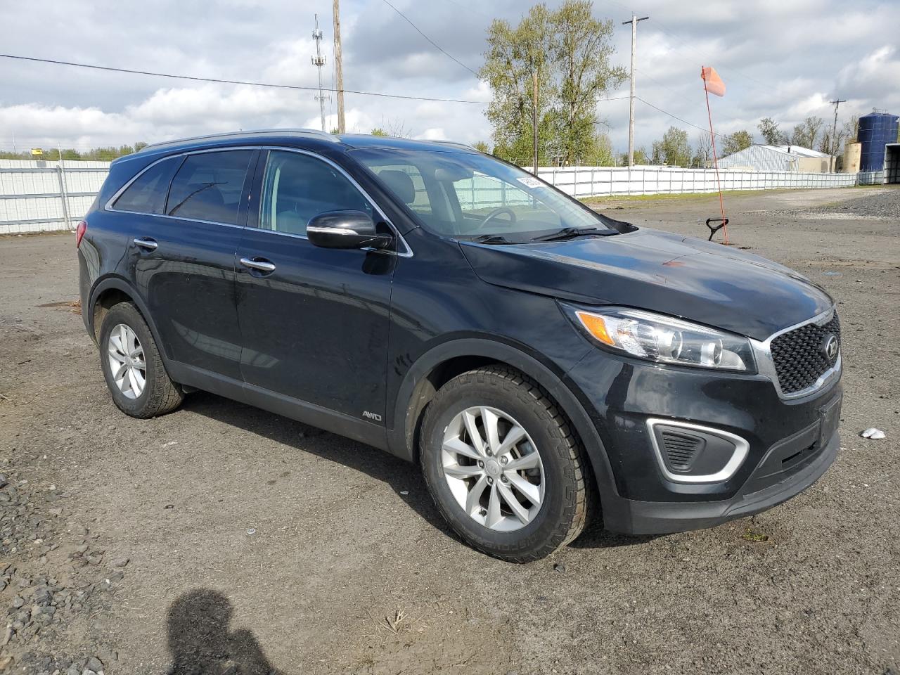 Photo 3 VIN: 5XYPGDA32HG282514 - KIA SORENTO 