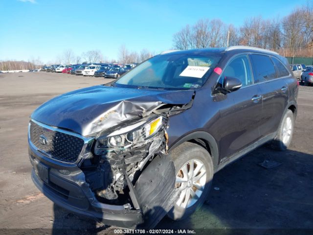 Photo 1 VIN: 5XYPGDA32HG293996 - KIA SORENTO 