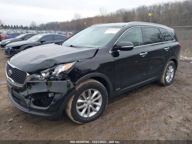 Photo 1 VIN: 5XYPGDA33JG426867 - KIA SORENTO 