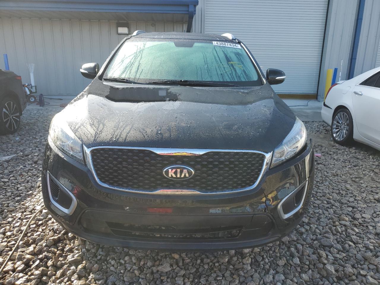 Photo 4 VIN: 5XYPGDA34HG257310 - KIA SORENTO 