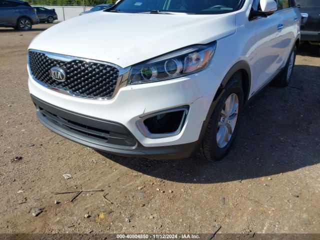 Photo 5 VIN: 5XYPGDA34HG261020 - KIA SORENTO 