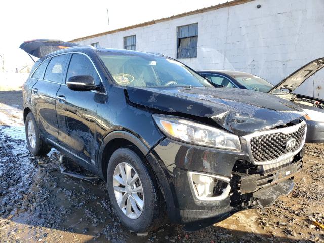 Photo 0 VIN: 5XYPGDA34HG293336 - KIA SORENTO LX 