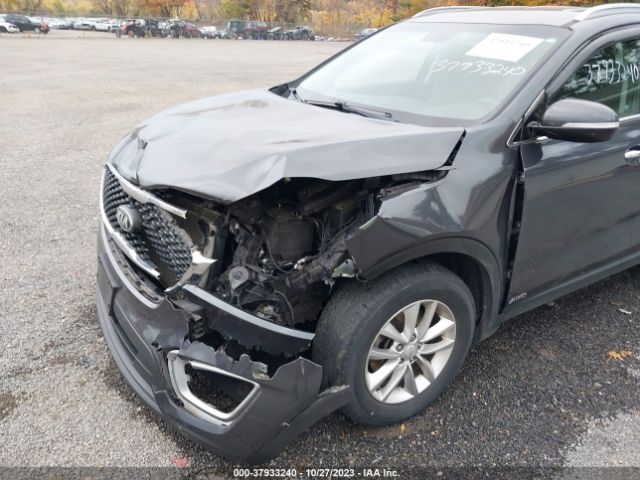 Photo 5 VIN: 5XYPGDA35JG423761 - KIA SORENTO 