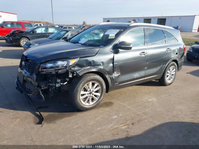 Photo 5 VIN: 5XYPGDA35KG602982 - KIA SORENTO 