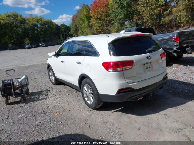 Photo 2 VIN: 5XYPGDA36GG037553 - KIA SORENTO 