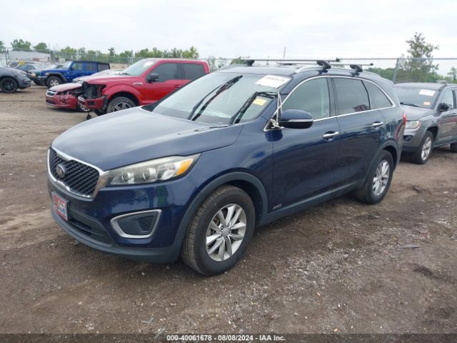 Photo 1 VIN: 5XYPGDA36GG062064 - KIA SORENTO 