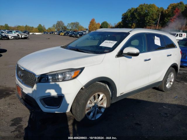 Photo 1 VIN: 5XYPGDA36HG243201 - KIA SORENTO 