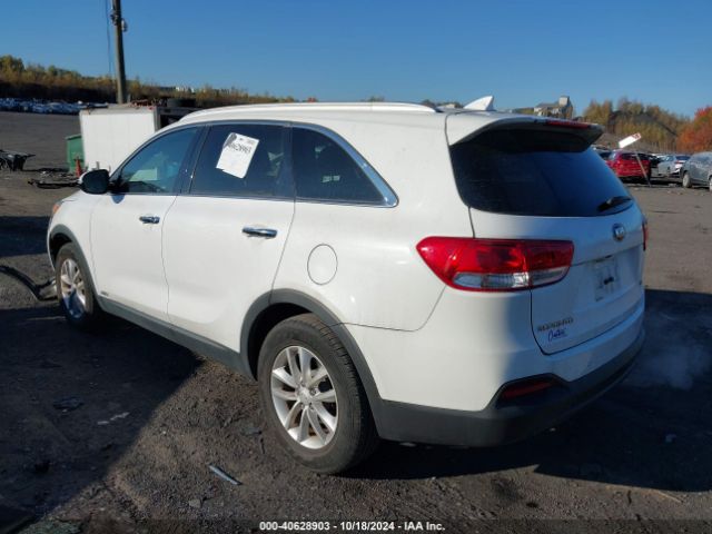 Photo 2 VIN: 5XYPGDA36HG243201 - KIA SORENTO 