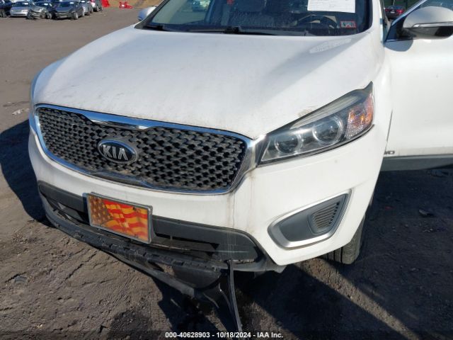 Photo 5 VIN: 5XYPGDA36HG243201 - KIA SORENTO 