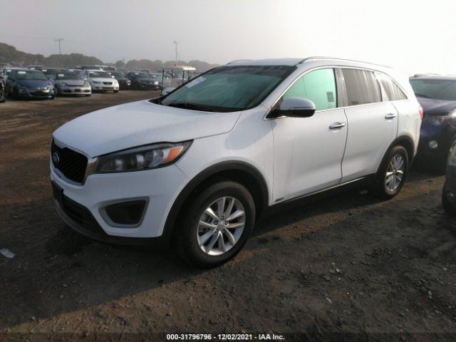 Photo 1 VIN: 5XYPGDA36HG244610 - KIA SORENTO 