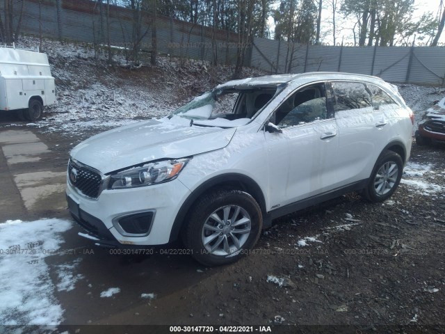 Photo 1 VIN: 5XYPGDA36HG321718 - KIA SORENTO 