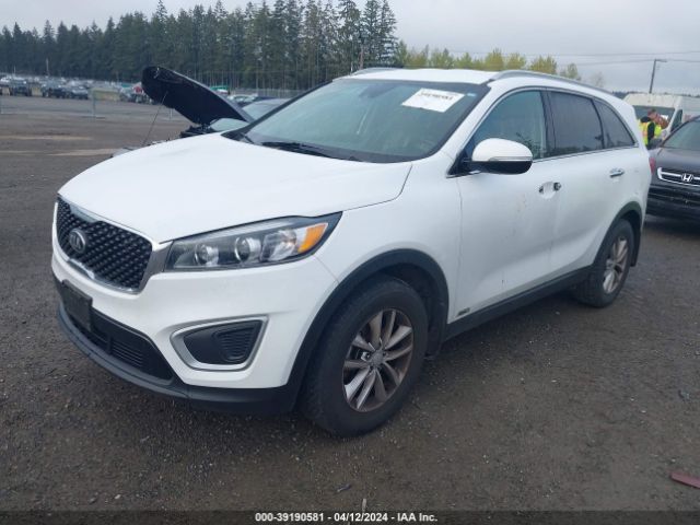 Photo 1 VIN: 5XYPGDA36JG405480 - KIA SORENTO 