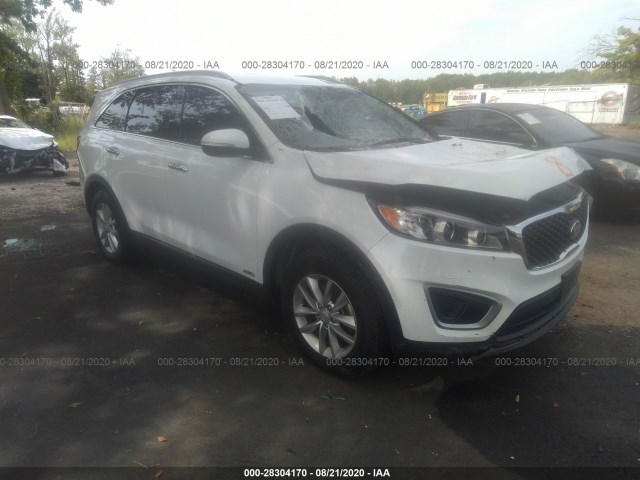 Photo 0 VIN: 5XYPGDA37JG349596 - KIA SORENTO 