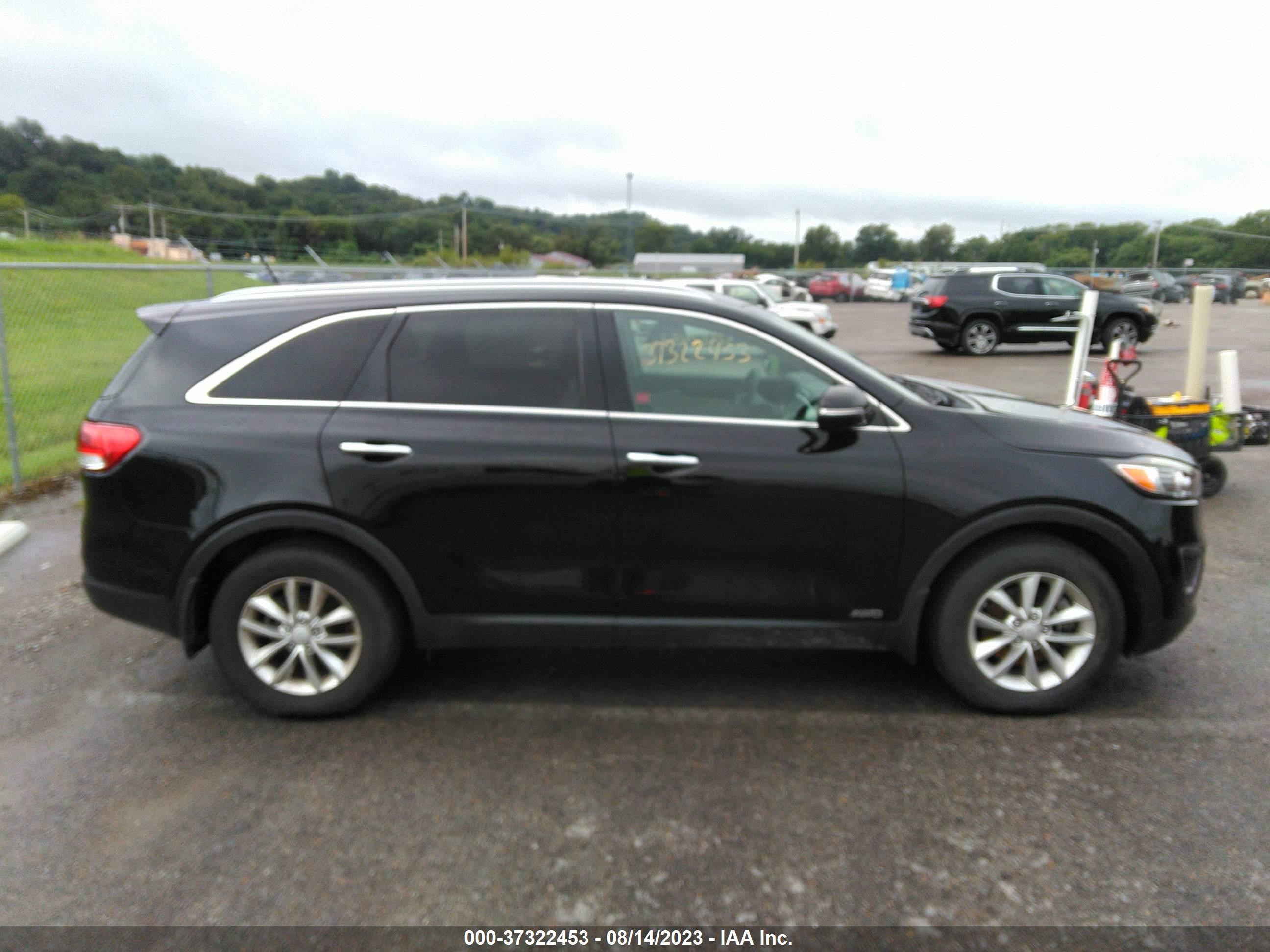 Photo 12 VIN: 5XYPGDA39GG109605 - KIA SORENTO 