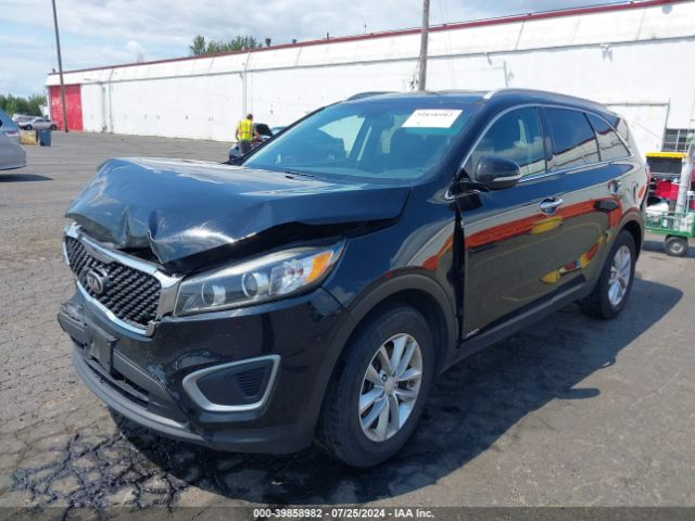 Photo 1 VIN: 5XYPGDA39HG278556 - KIA SORENTO 