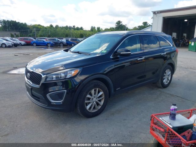 Photo 1 VIN: 5XYPGDA3XGG021730 - KIA SORENTO 