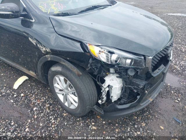 Photo 5 VIN: 5XYPGDA3XGG041640 - KIA SORENTO 