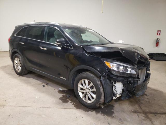 Photo 3 VIN: 5XYPGDA50HG204217 - KIA SORENTO 