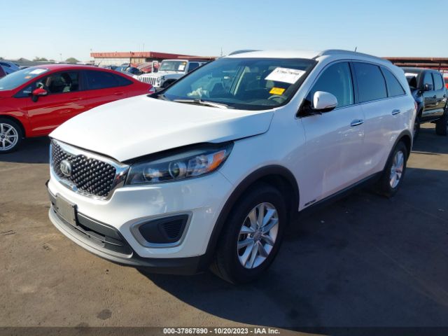 Photo 1 VIN: 5XYPGDA50HG291195 - KIA SORENTO 