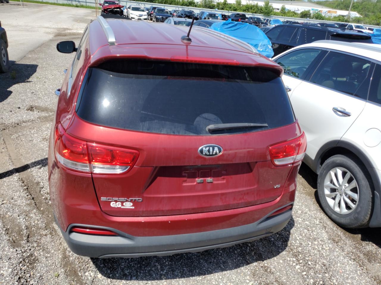 Photo 5 VIN: 5XYPGDA51GG134659 - KIA SORENTO 