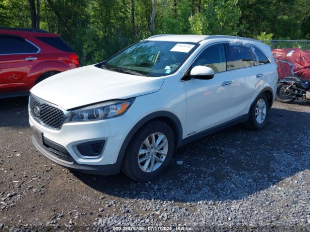 Photo 1 VIN: 5XYPGDA51GG161571 - KIA SORENTO 