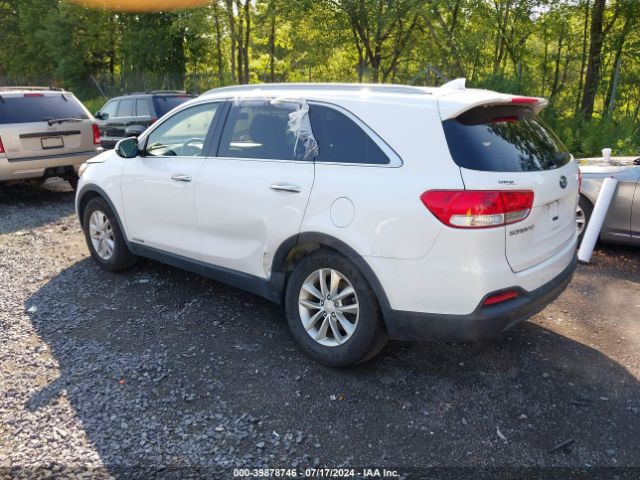 Photo 2 VIN: 5XYPGDA51GG161571 - KIA SORENTO 