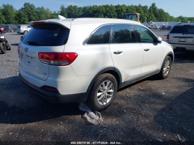 Photo 3 VIN: 5XYPGDA51GG161571 - KIA SORENTO 