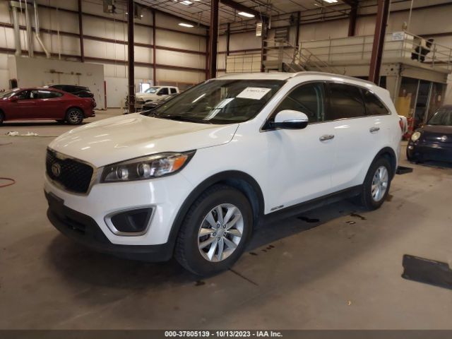 Photo 1 VIN: 5XYPGDA51JG339437 - KIA SORENTO 