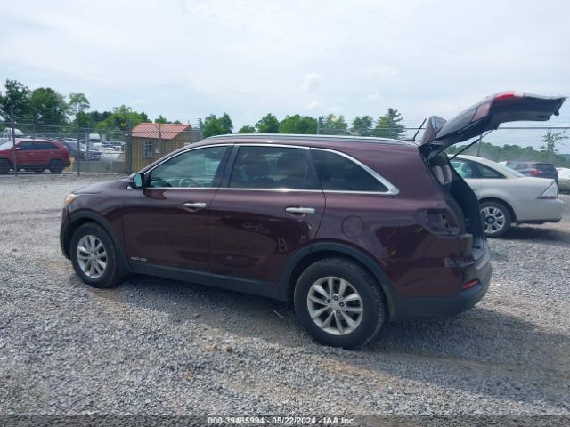 Photo 2 VIN: 5XYPGDA52GG141877 - KIA SORENTO 