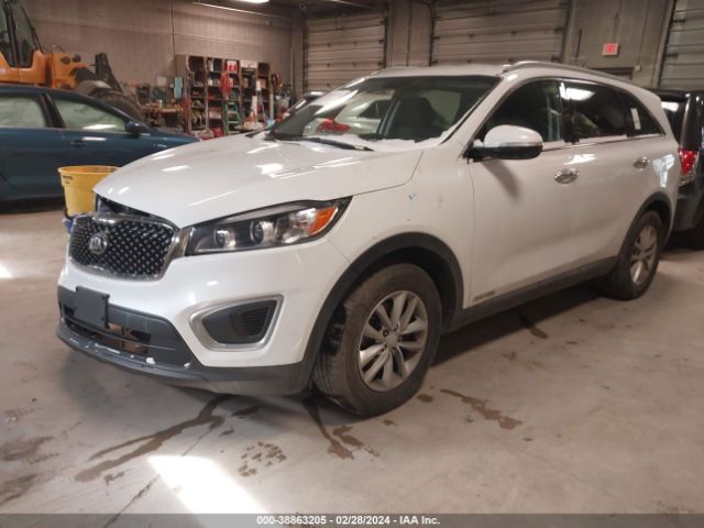 Photo 1 VIN: 5XYPGDA52HG212061 - KIA SORENTO 