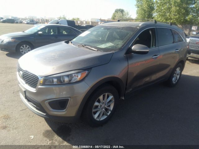 Photo 1 VIN: 5XYPGDA53GG135246 - KIA SORENTO 